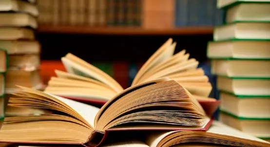 Libri shqip ende pa vendin e merituar, shkrimtarët kërkojnë zgjidhje