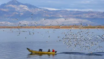 Liqeni i Shkodrës drejt “pasaportës” së UNESCO-s
