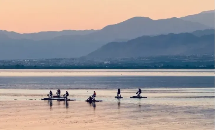 Liqeni i Shkodrës drejt UNESCO-s, nominohet si rezervë ndërkufitare e biosferës