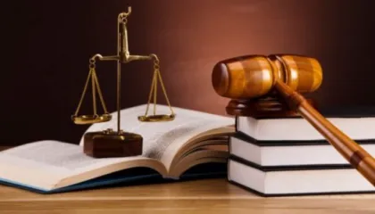 Mazhoranca ndryshime në Kodin Penal dhe të Procedurës Penale. Edhe Kushtetuta do rishikohet