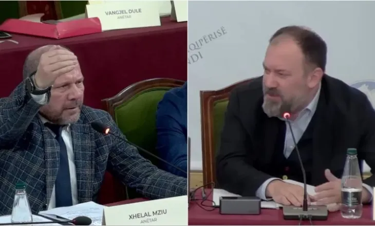 Mazniku përplaset me Mziun në Komisionin e Reformës Territoriale, deputeti i PD: Po bëni autogol