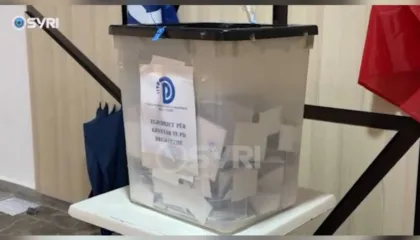 Mbyllet votmi për zgjedhjen e kreut të PD, Dega Lezhë/ Nis numërimi i votave
