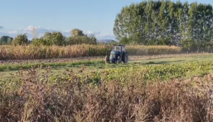 Më shumë tokë, më pak para/ INSTAT: Fermerët punuan sipërfaqe më të mëdha, por fitimet ishin më të ulëta