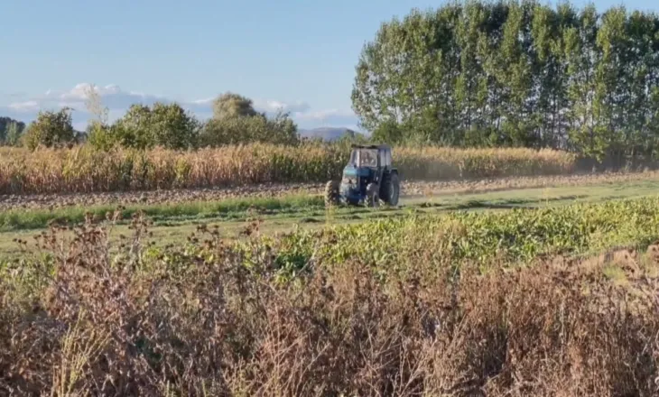 Më shumë tokë, më pak para/ INSTAT: Fermerët punuan sipërfaqe më të mëdha, por fitimet ishin më të ulëta