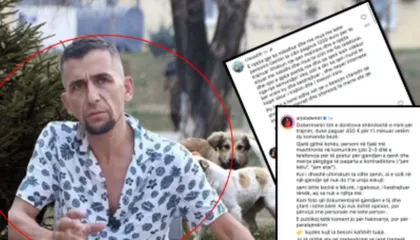 “Më thanë ngordhi…qeni erdhi i gjakosur…”! Zbulohet kampi i torturës së qenushëve- Kush fshihet pas (FOTOT)