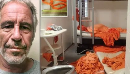 Mjeku që pa autopsinë: Epstein ishte mbytur dhe nuk u vetëvar