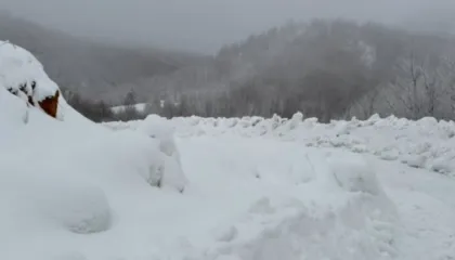 Moti i keq Korçë, qindra familje mbeten pa energji elektrike