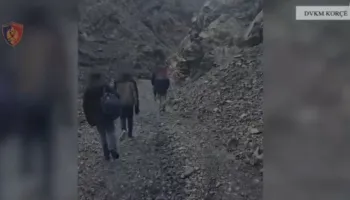 Ndihmoi 6 emigrantë të kalojnë kufirin nga Greqia drejt Shqipërisë, arrestohet shtetasi sudanez në Korçë