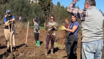 Në mbrojtje të Vjosës/ Të rinjtë nga e gjithë bota me mision në Shqipëri, mbjellin 3 mijë fidanë në zonë