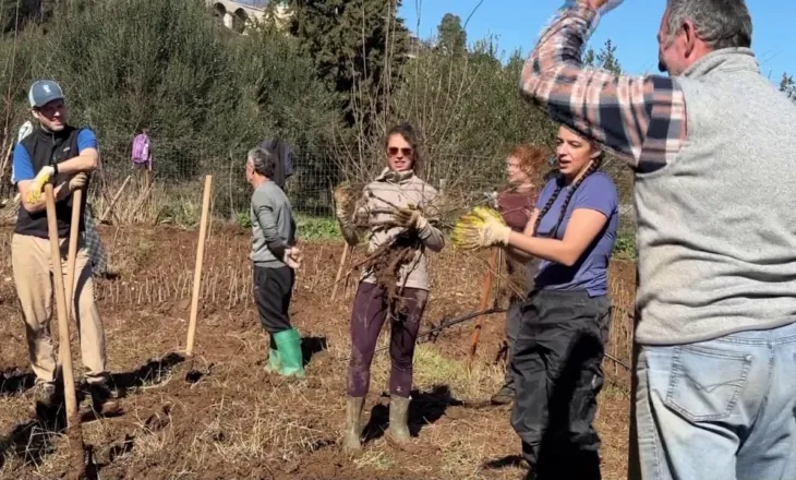 Në mbrojtje të Vjosës/ Të rinjtë nga e gjithë bota me mision në Shqipëri, mbjellin 3 mijë fidanë në zonë