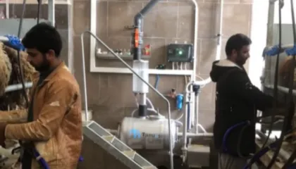 Nga India, Filipinet, Egjipti e deri Mianmar/ ‘Bum’ aplikimesh nga vendet aziatike për leje qëndrimi në Shqipëri