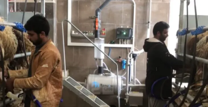 Nga India, Filipinet, Egjipti e deri Mianmar/ ‘Bum’ aplikimesh nga vendet aziatike për leje qëndrimi në Shqipëri