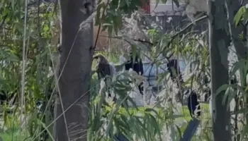 Nga Korça me helikopter në Vlorë, Rama mbërrin në qytetin bregdetar nën masa të shumta sigurie