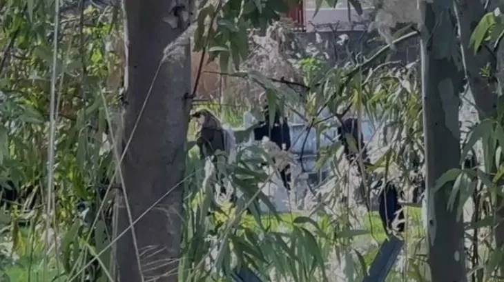 Nga Korça me helikopter në Vlorë, Rama mbërrin në qytetin bregdetar nën masa të shumta sigurie