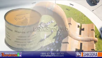 NGA TAULANT KOPLIKAJ – Arti konceptual dhe m*ti si gjenialitet, në vijim të një debati për çilsin e Shkodrës