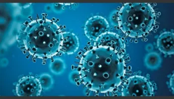 Nga tërbimi, ebola e Covid-19, zbuloni 11 viruset më vdekjeprurës për njerëzimin