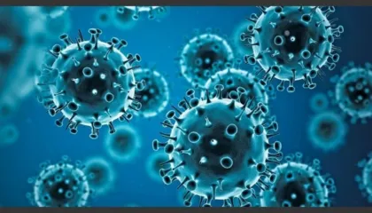 Nga tërbimi, ebola e Covid-19, zbuloni 11 viruset më vdekjeprurës për njerëzimin