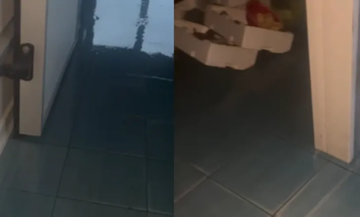 Niveli i detit në Radhimë shënon rritje të pazakontë, peshqit “dalin” në tokë