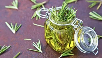 Një aleat i fuqishëm për shëndetin, kjo bimë forcon imunitetin, lehtëson reumatizmën dhe mbron trurin