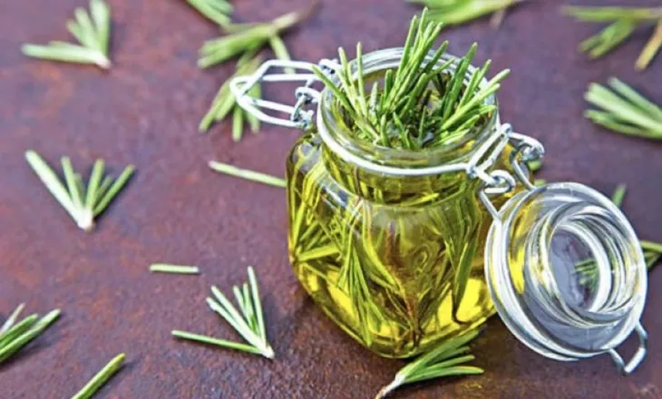 Një aleat i fuqishëm për shëndetin, kjo bimë forcon imunitetin, lehtëson reumatizmën dhe mbron trurin