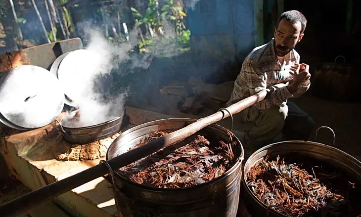 Një dozë e vetme e përbërësit aktiv të ayahuasca-s, mund të ndihmojë në lehtësimin e depresionit