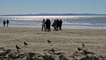 Pakistan-Afganistan, prag lufte/ Sulm ajror kundër Talebanëve, 13 të vrarë dhe disa të tjerë të plagosur