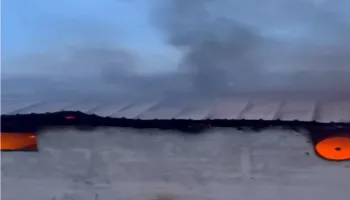 Pamje të rënda/ 22 lopë dhe viça të djegur pasi zjarri përfshiu stallën (VIDEO)