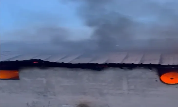 Pamje të rënda/ 22 lopë dhe viça të djegur pasi zjarri përfshiu stallën (VIDEO)