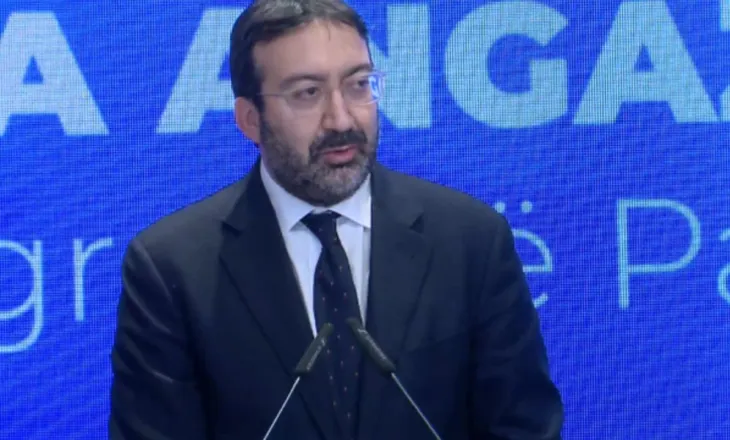 Paraburgimi në Shqipëri, 5 herë më i lartë se vendet e BE-së/ Drejtori i të Drejtave të Njeriut në KiE: T’i jepet përparësi alternativave