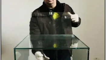 Paulin Zefi: Muzeu Arkeologjik në Lezhë do të hapet sapo të rikthehen objektet nga Instituti i Arkeologjisë në Tiranë