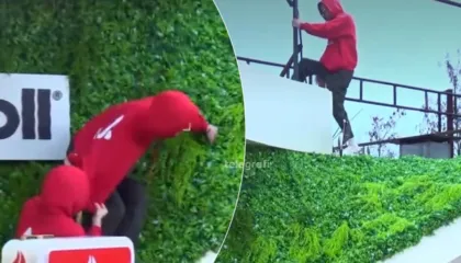 Për herë të dytë Kristi kapërcen murin e Big Brother, në shtëpi mbërrin Zarfi i Zi