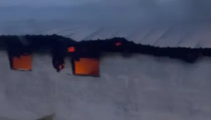 Përfshihet nga flakët një stallë me gjedhë në Selenicë/ 22 krerë bagëti të djegur, dyshohet se shkak u bë një shkëndijë elektrike