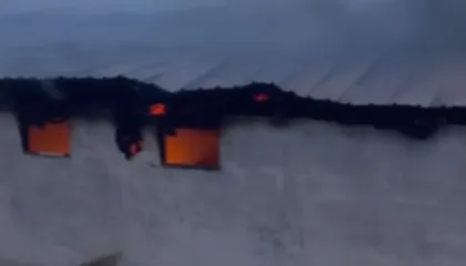 Përfshihet nga flakët një stallë me gjedhë në Selenicë, 22 lopë dhe viça të djegur! Çfarë dyshohet