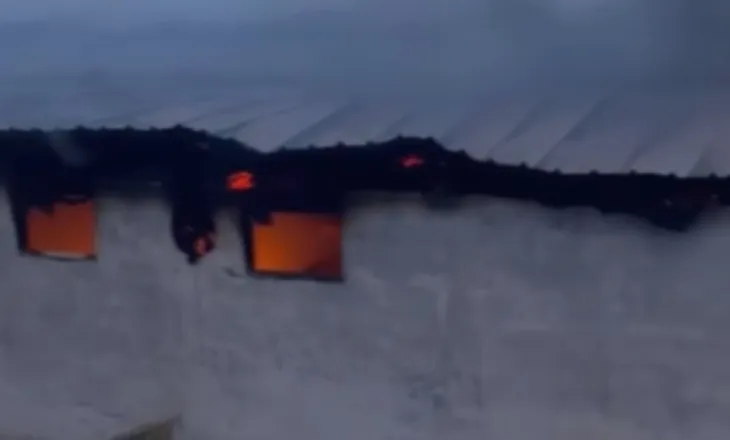 Përfshihet nga flakët një stallë me gjedhë në Selenicë/ 22 lopë dhe viça të djegur, dyshohet se shkak u bë një shkëndijë elektrike