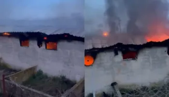 Përfshihet nga flakët stalla në Selenicë, digjen 22 lopë dhe viça