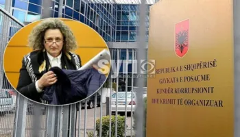 Përgjegjësia penale e institucioneve që duhet të hetonin Irena Gjokën