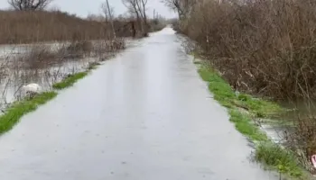 Përmbytet Oboti, 40 cm ujë në rrugë. Ushtria dhe emergjencat civile në gatishmëri