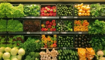 Përmbytjet në zonat bujqësore, përgjysmohen eksportet e zarzavateve