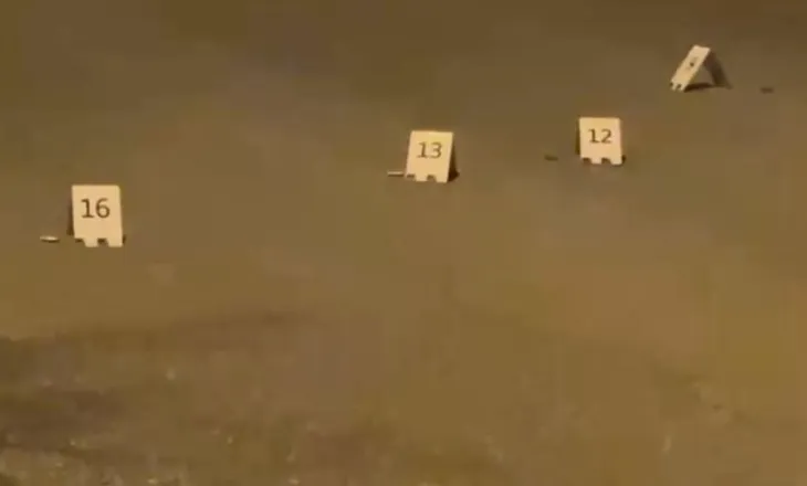 Plagosja e 30-vjeçarit në Lezhë pas sulmit me breshëri në biznesin e tij, reagon policia