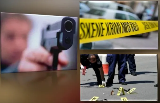 Plagosja e studentes në zonën e Saukut/ Zbardhen detaje: Autori e qëlloi në hotel, në spital e transportuan punonjësit