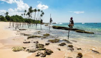 Plazhe ëndërrimtare dhe kafshë të egra të pabesueshme: Sri Lanka sapo lançoi një vizë dixhitale nomade