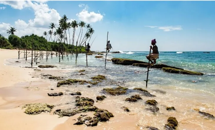 Plazhe ëndërrimtare dhe kafshë të egra të pabesueshme: Sri Lanka sapo lançoi një vizë dixhitale nomade