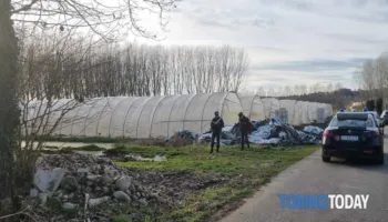 PLUMB NE KOKE PER SHQIPTARIN NE ITALI