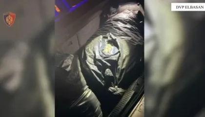 Policia godet grupin kriminal! Shisnin drogë nga veriu në jug dhe jashtë vendit, katër persona të arrestuar! Sekuestrohet kanabis dhe armë zjarri