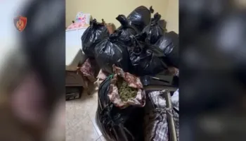 Prodhim dhe shitje droge, arrestohen dy persona në Vlorë