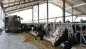 Pse po braktisen lopët për plastmasën