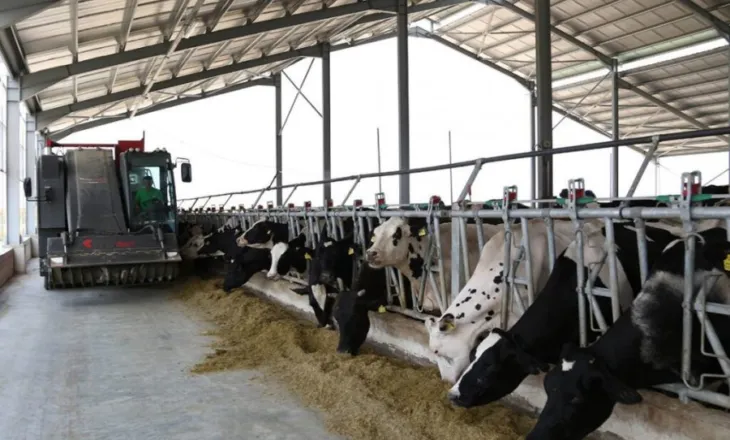 Pse po braktisen lopët për plastmasën