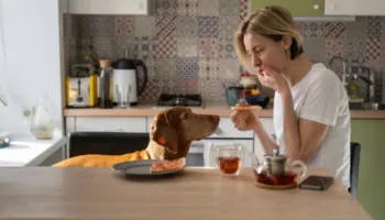 Pse qeni juaj ju shikon ndërsa hani – shumica e njerëzve e keqkuptojnë këtë shikim