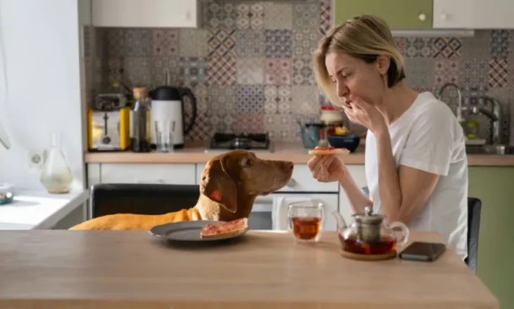 Pse qeni juaj ju shikon ndërsa hani – shumica e njerëzve e keqkuptojnë këtë shikim