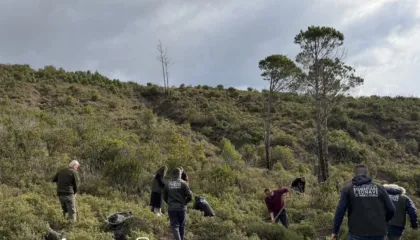 Rama: Pyjeve tona i janë shtuar 360 mijë fidanë të rinj